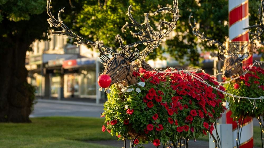 Floral Reindeer and Santa Sleigh image